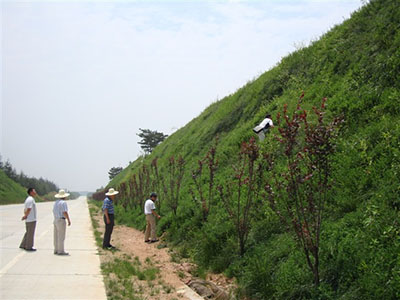 客土噴播邊坡綠化施工 客土噴播邊坡綠化施工 - 安平縣佰泰金屬絲網(wǎng)制品有限公司