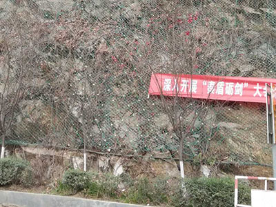 四川兩河鎮(zhèn)邊坡防護(hù)工程 四川兩河鎮(zhèn)邊坡防護(hù)工程 - 安平縣佰泰金屬絲網(wǎng)制品有限公司